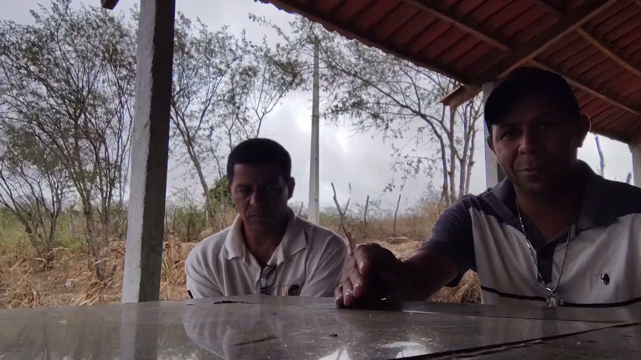 7 tarefa de terra do meu sobrinho ainda tá disponível pra vender 