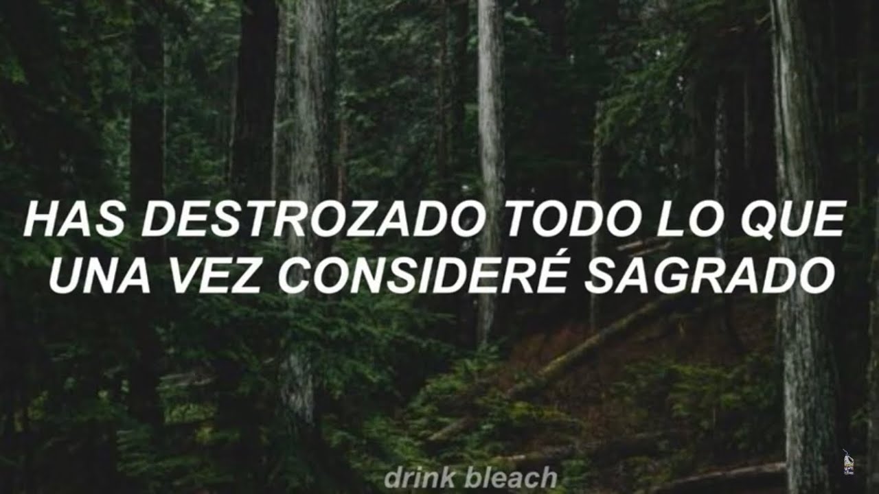 blackbear - back in rehab [sub español]