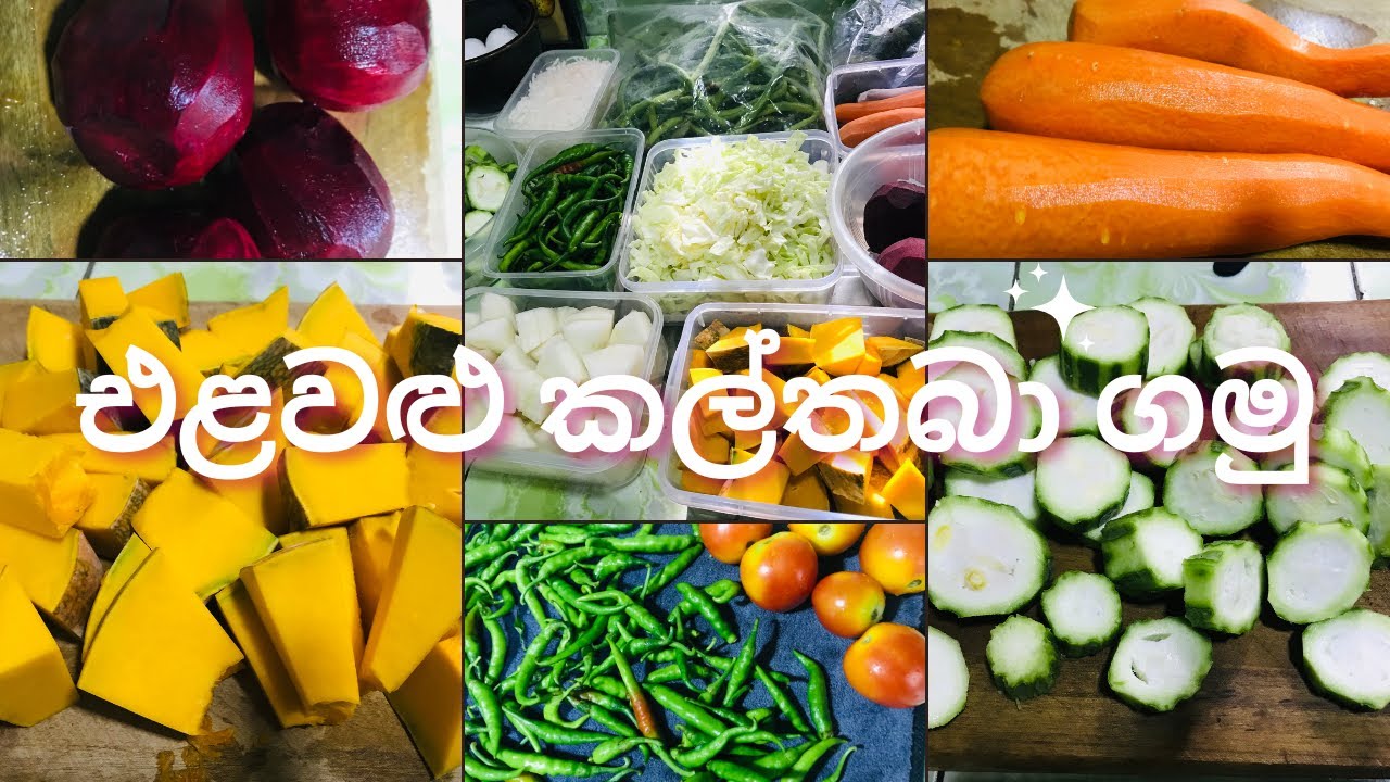 කපපු එළවළු නැවුම්ව කල්තබා ගමු | How to keep chopped vegetables fresh