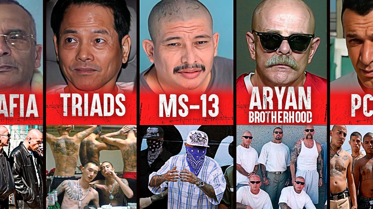 The World’s Most Dangerous Gangs
