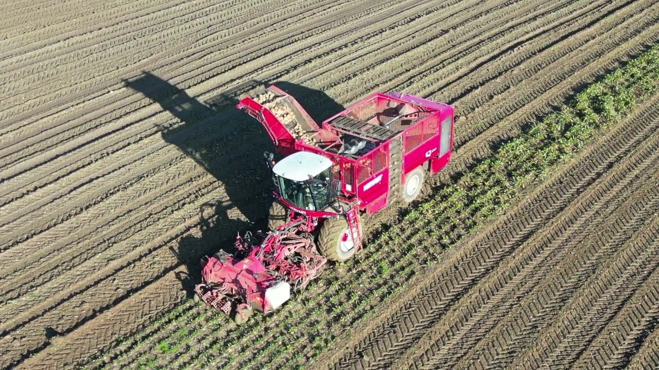 sugarbeet harvestering