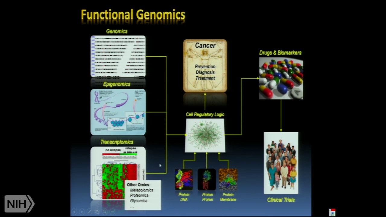 Genetics and immunology of alopecia areata
