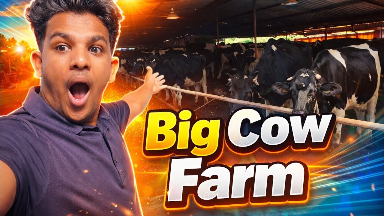বিশাল গরুর খামার দেখতে গেলাম 🐄| ইনশাআল্লাহ একদিন আমারও হবে Cow Farm Tour 2026 Daily Vlog