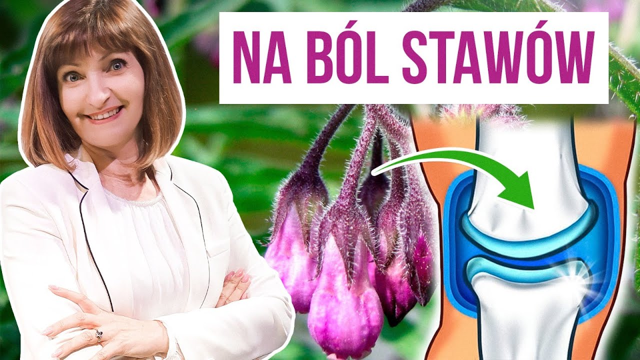🚩 Żywokost lekarski na ból i obrzęki stawów. Wywar, napar, nalewka, maść – jak zrobić, jak stosować?