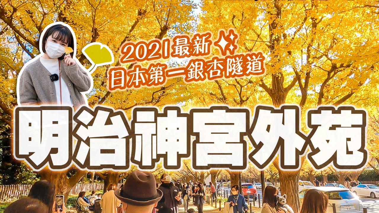 2021 последний! Места с гинкго в Токио, которые обязательно нужно увидеть｜Tokyo Travel