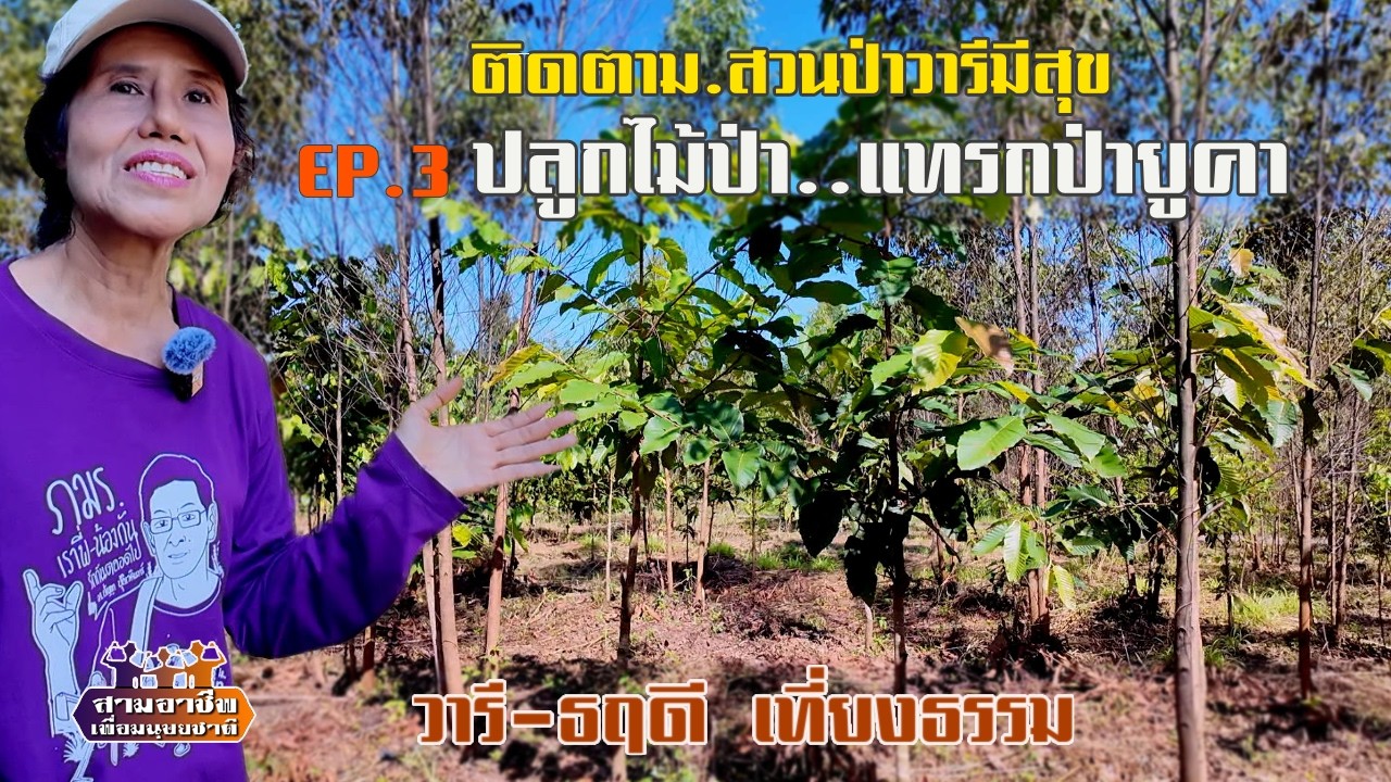 EP.3 ติดตาม.สวนป่าวารีมีสุข 