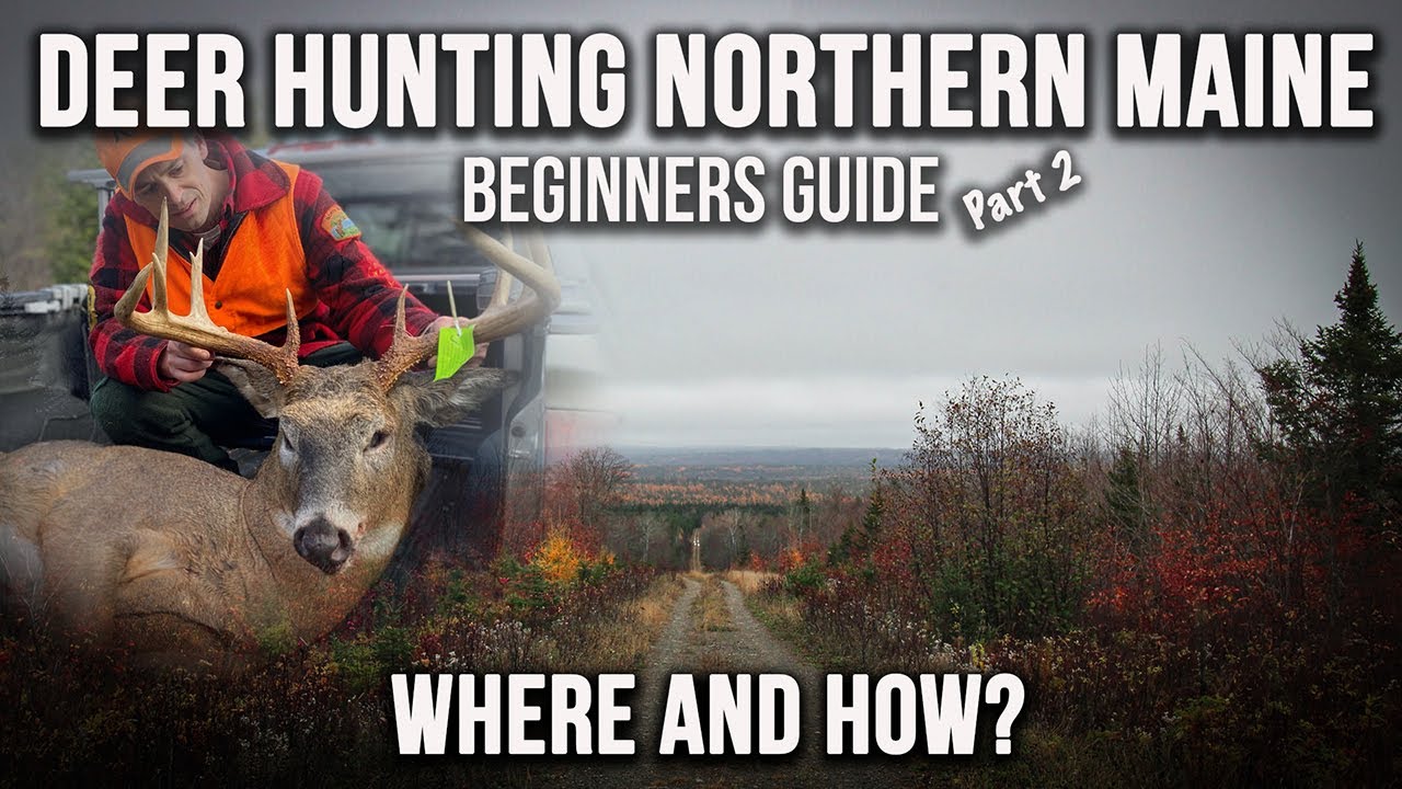 The WHERE & HOW | Beginners Guide To Deer Hunting Northern Maine Part II
