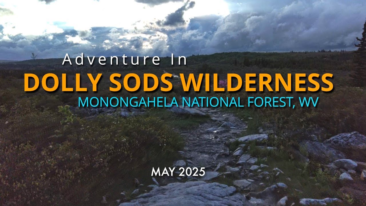 Dolly Sods Wilderness - Monongahela National Forest - WV