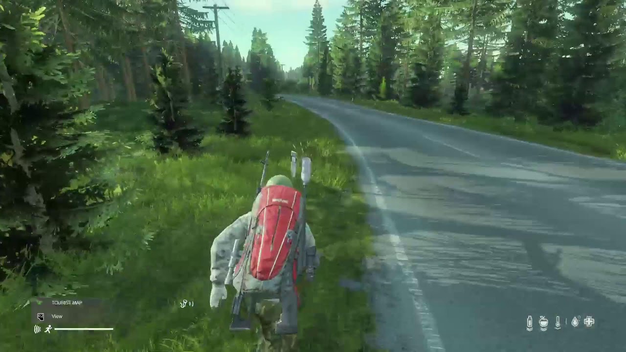 DayZ 🗣️