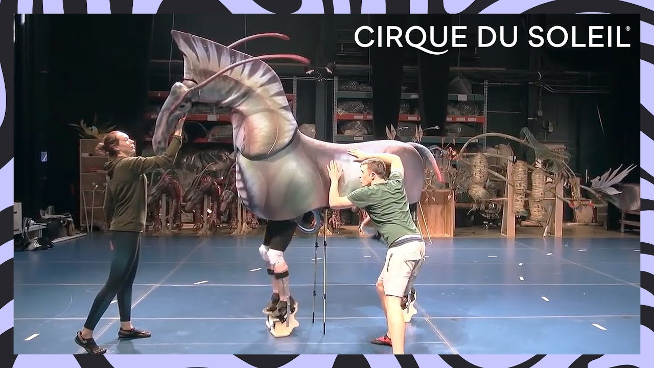 TORUK &ndash; The First Flight | The journey has begun | Cirque du Soleil
