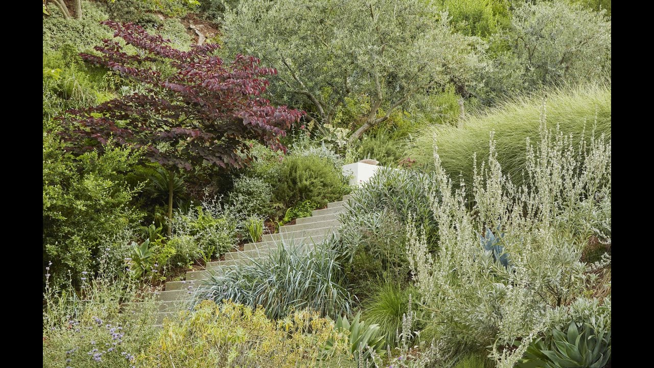 David Godshall & Jenny Jones, partners in Terremoto Landscape, Los Angeles 12 01 2022