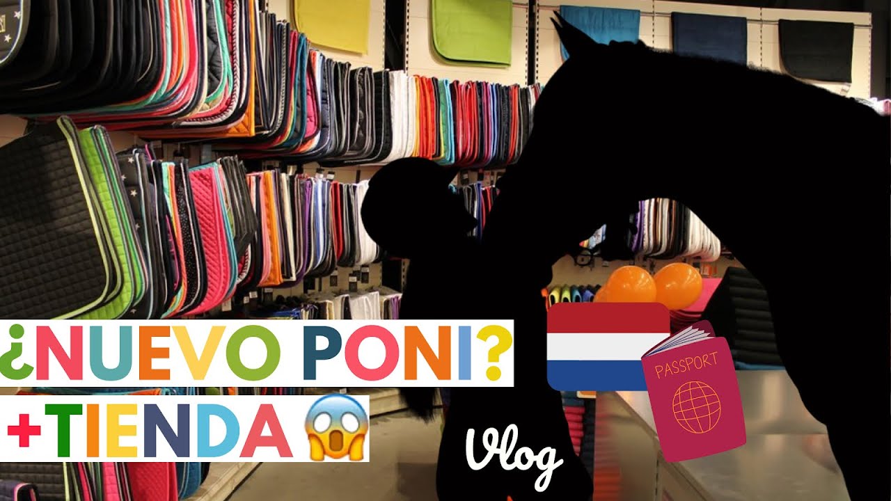 VLOG - Tengo un nuevo caballo? 😱Holanda 🇳🇱 Parte II