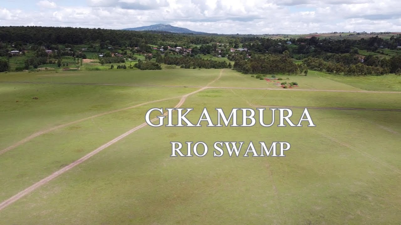 Rio Swamp  GIKAMBURA | Real Estate | Acre Property Listings