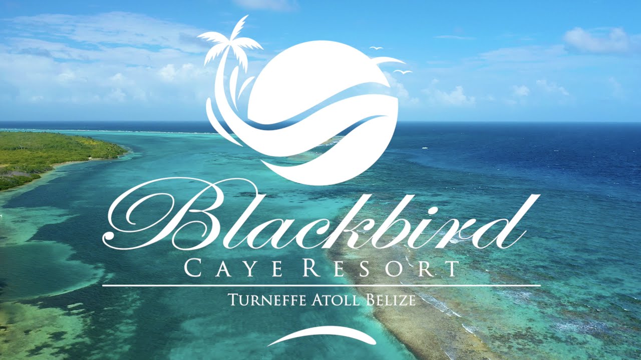 Blackbird Caye Dive Resort - Turneffe Atoll Belize (Shot w/ Panasonic Lumix GH5 and DJI Mavic 2 Pro)