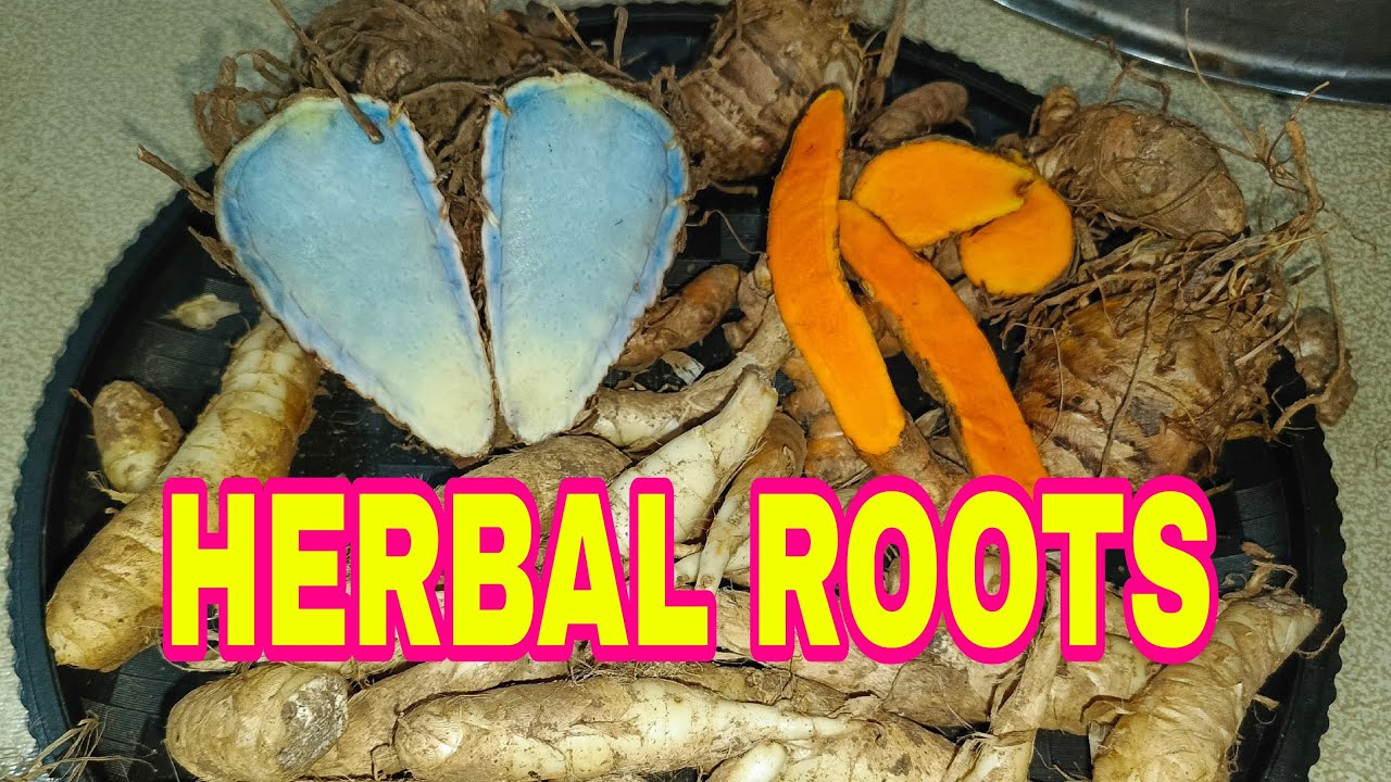 MAMIMIGAY PO TAYO NG MGA HERBAL ROOTS 🌱