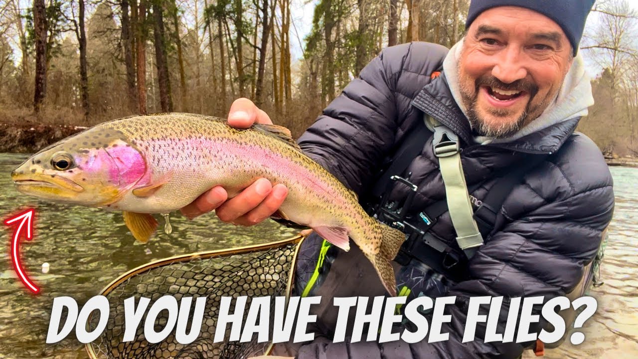 Hot Flies for January - Ep. 1