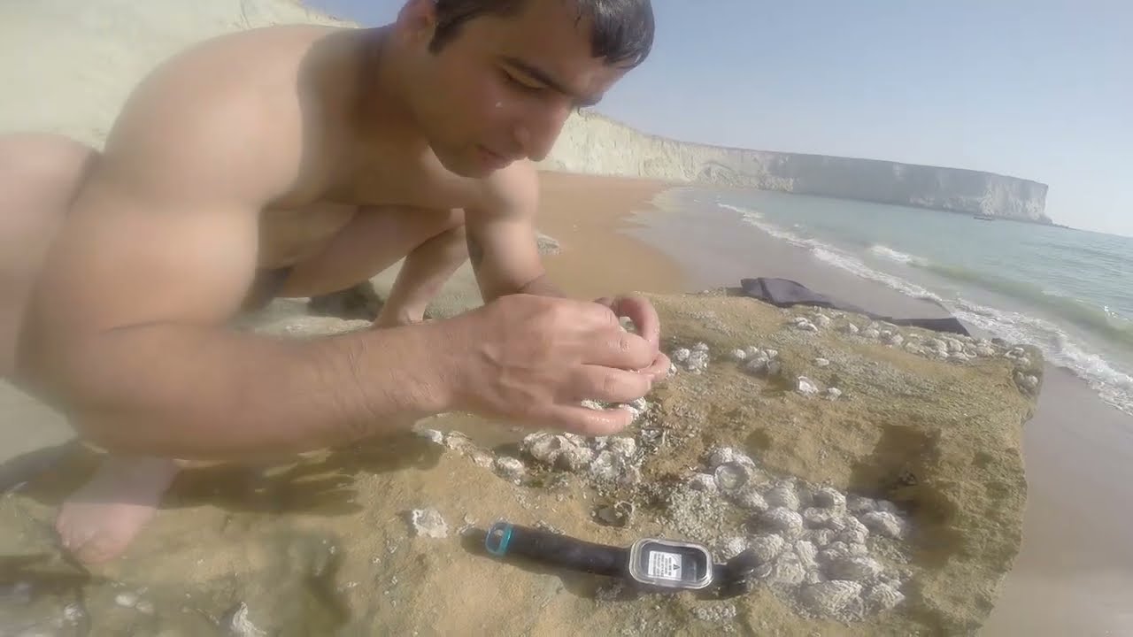 Eating stone oysters on the pristine coast of the Oman Sea