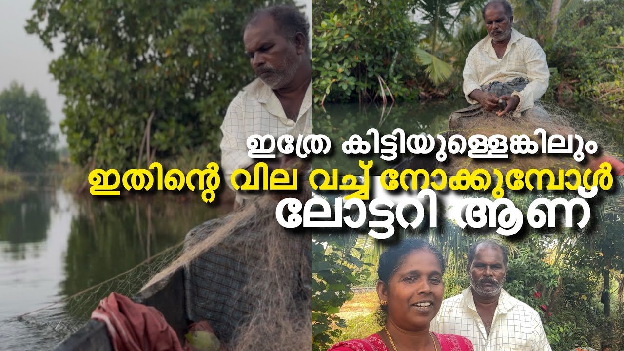 എത്ര മീൻകിട്ടാത്ത ദിവസങ്ങൾ ഉണ്ടെങ്കിലും വലയിടീൽ നിർത്താത്തത് ഇതുകൊണ്ടാണ് #cooking #fishing #crab 