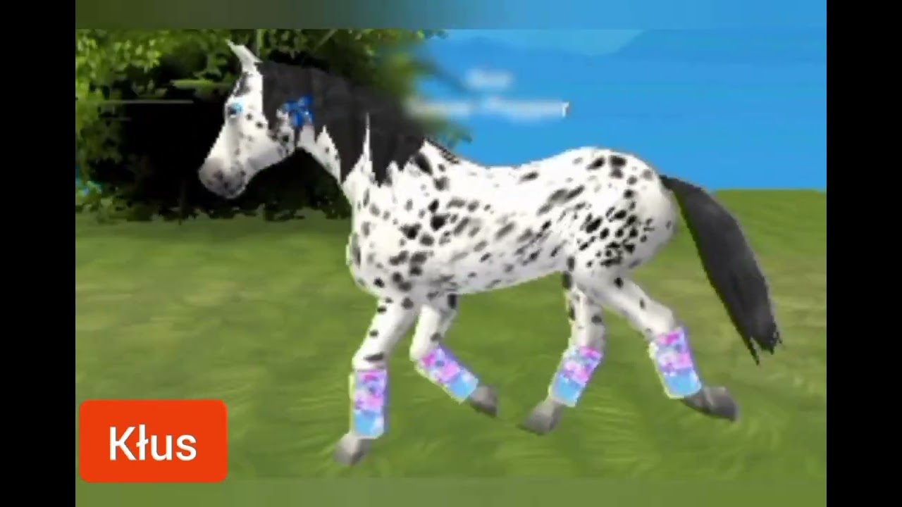 Rodzaje chodu konia
