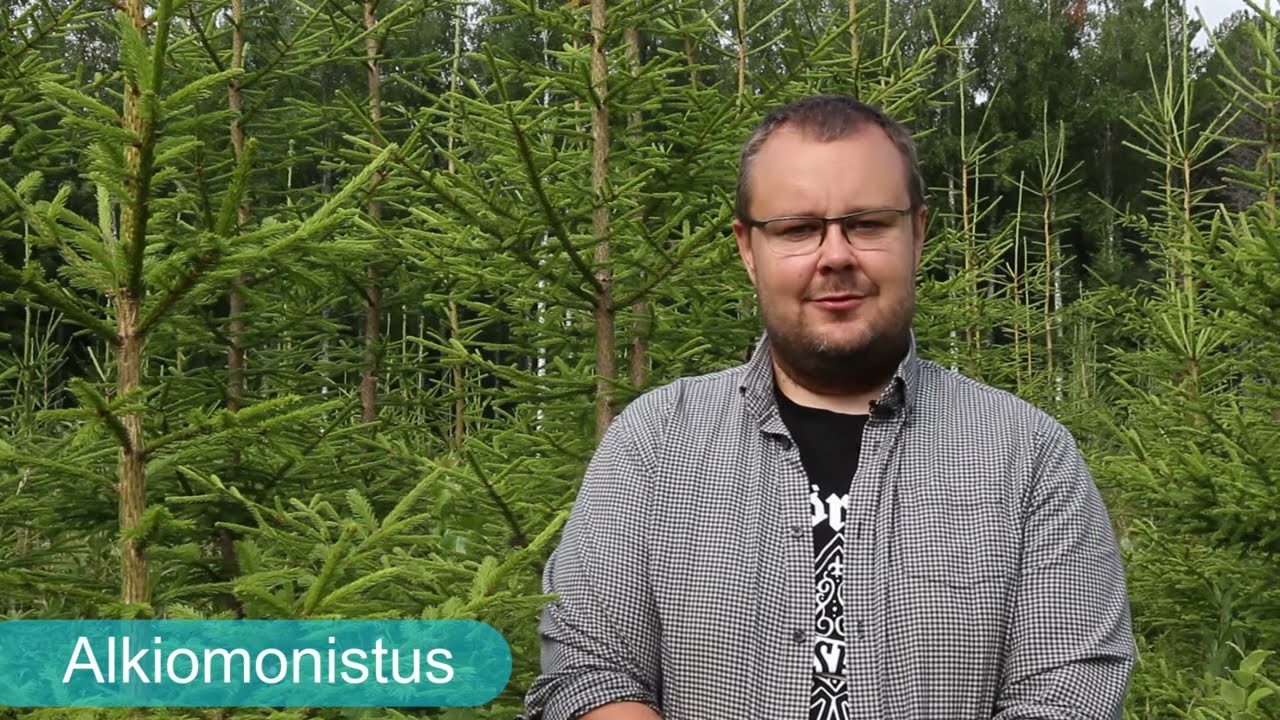 Mets&auml;njalostuksen tavoitteet - kuusen erikoismuodot