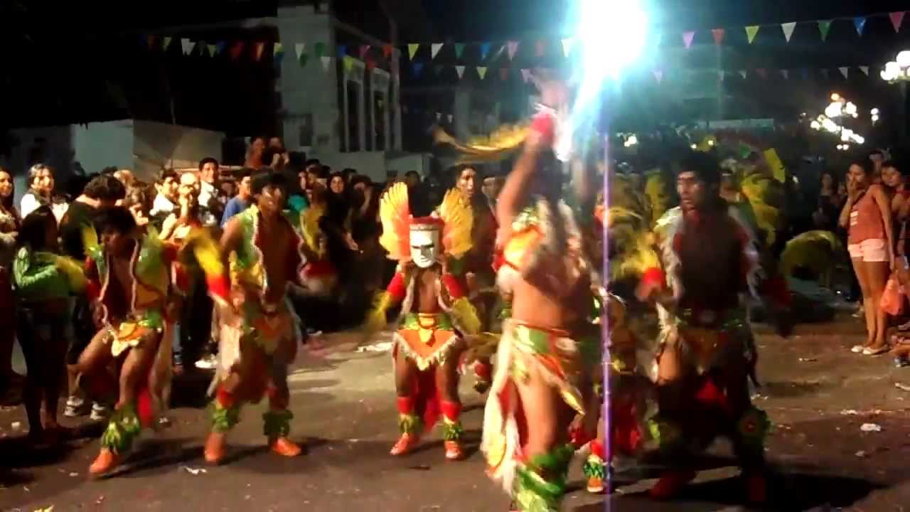 TOBAS JAGUARES SAJAMA  2014