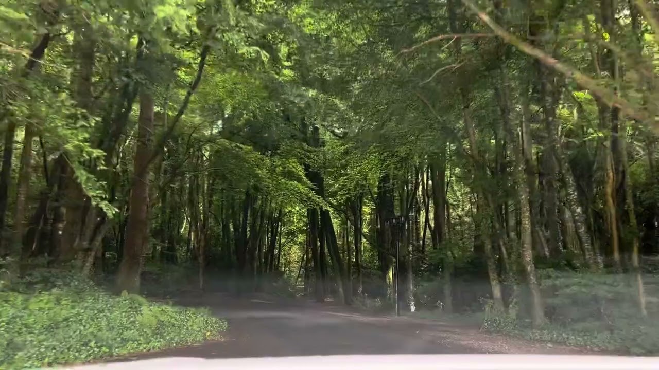 road to The Lodge at Ashford Castle
