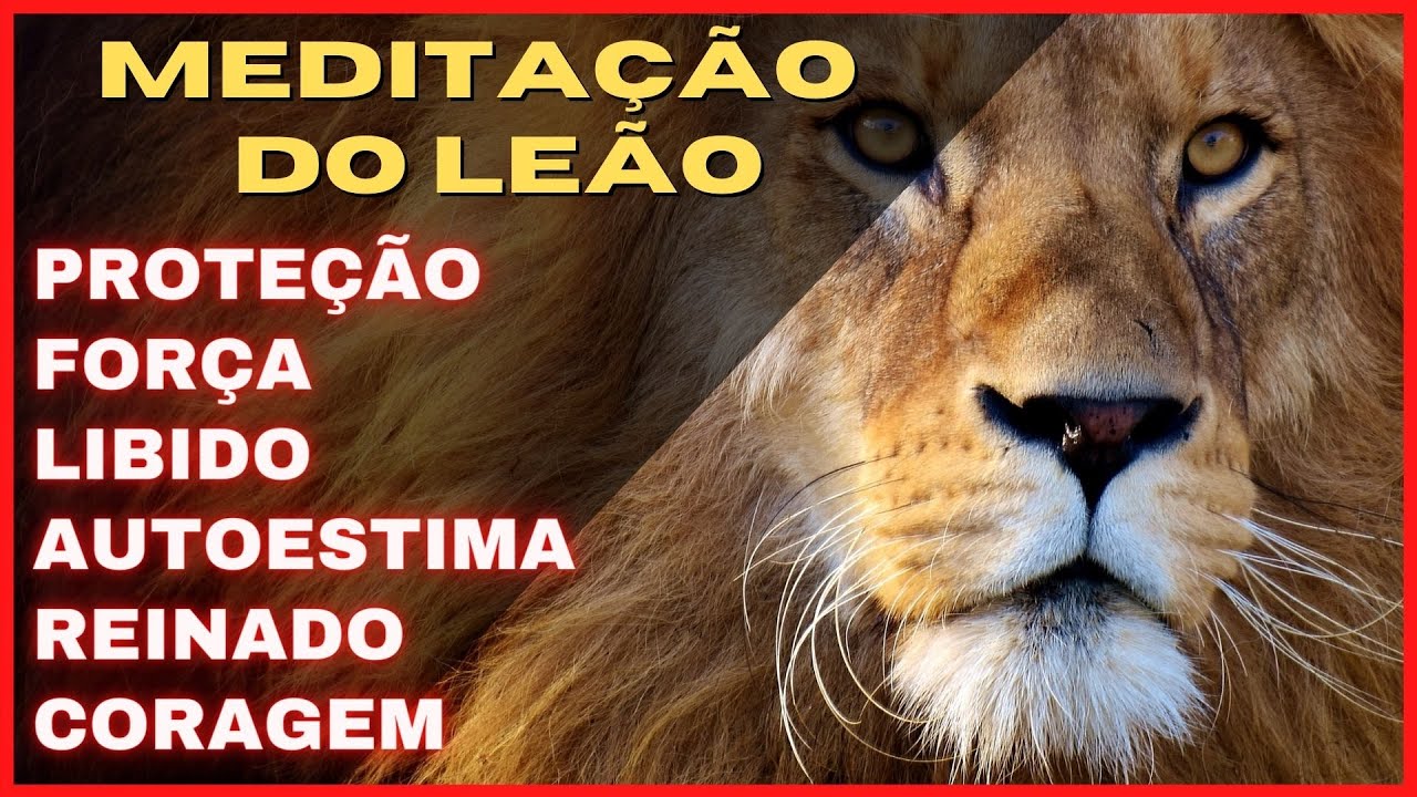 ARQUÉTIPO DO LEÃO | ANIMAL DE PODER | CORAGEM | PROTEÇÃO | LIBIDO| AUTOESTIMA | MEDITE| SONS DO LEÃO