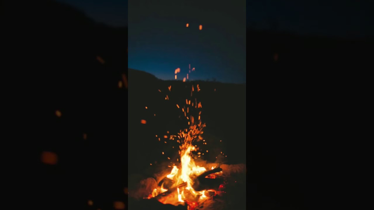 ﴾.قورئان خوێن:@muhammadkurdio . .   #محمد_سيد_جلال  #محمد_سيد_جلال_الكردي ..........................