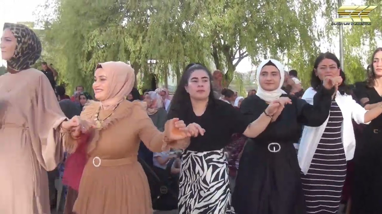 Drej Ajmet ve Ekibi A.gogan islim ile yunus un düğününde yan bağlama show...