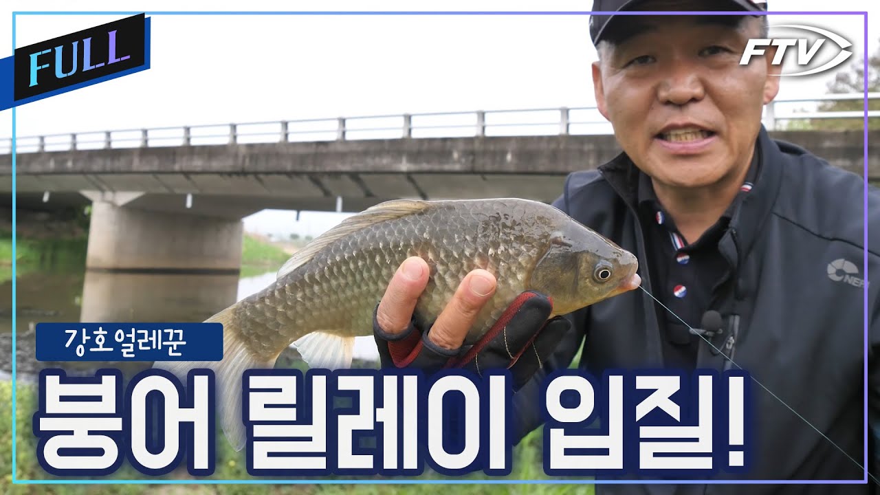 [Full]작은 하천의 위력! 붕어의 릴레이 입질! [강호얼레꾼/28회]
