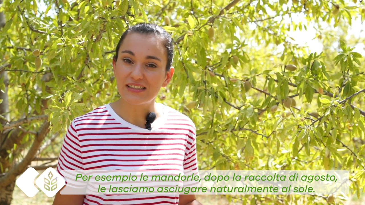 In Campo con Te | Azienda Busulmona