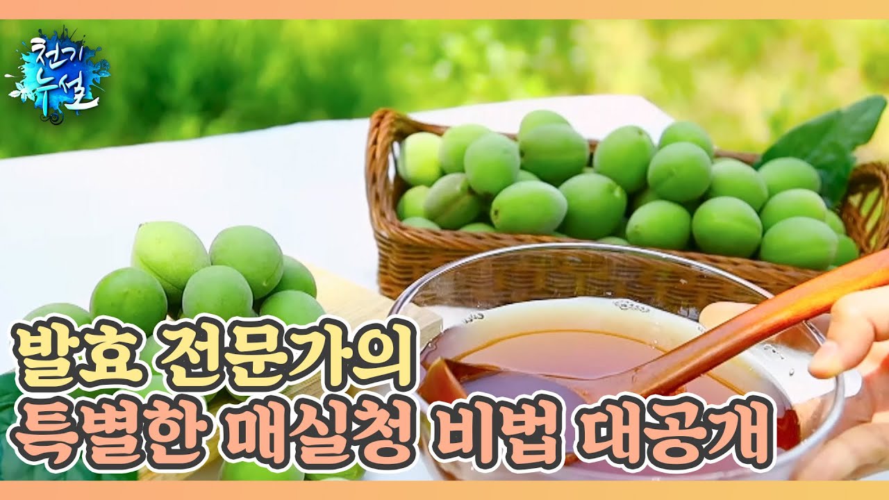 발효 전문가의 특별한 매실청 비법 대공개 MBN 240531 방송