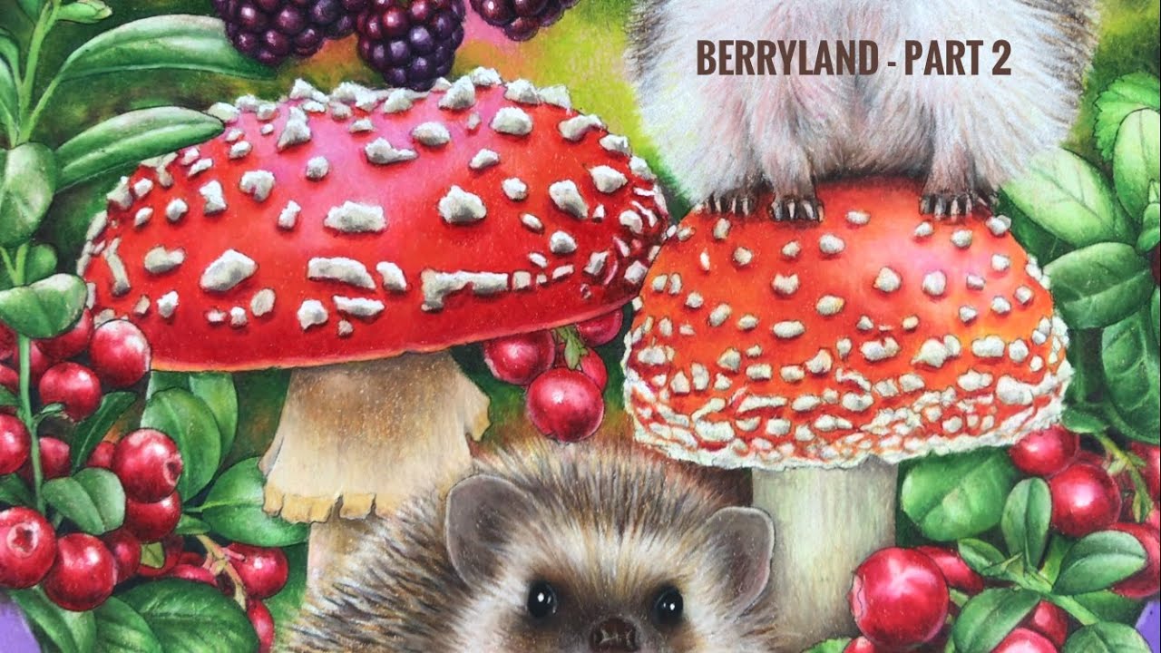 BERRYLAND - Part 2: Mushroom Coloring // Chris Cheng
