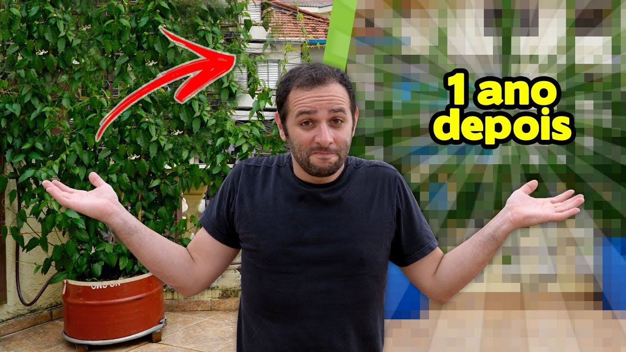 E aquela trepadeira da irrigação automática?