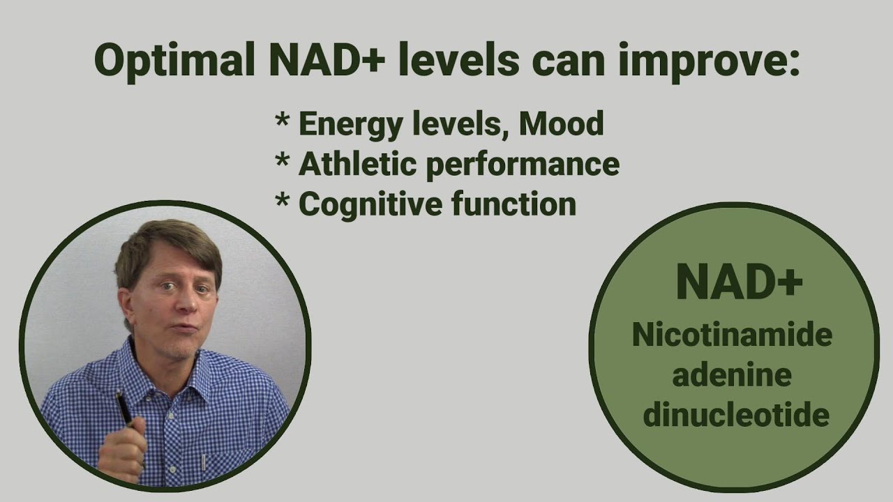 NMN vs NR vs Nicotinamide vs NA: Which one to increase NAD, muscle strength, energy and skin health?