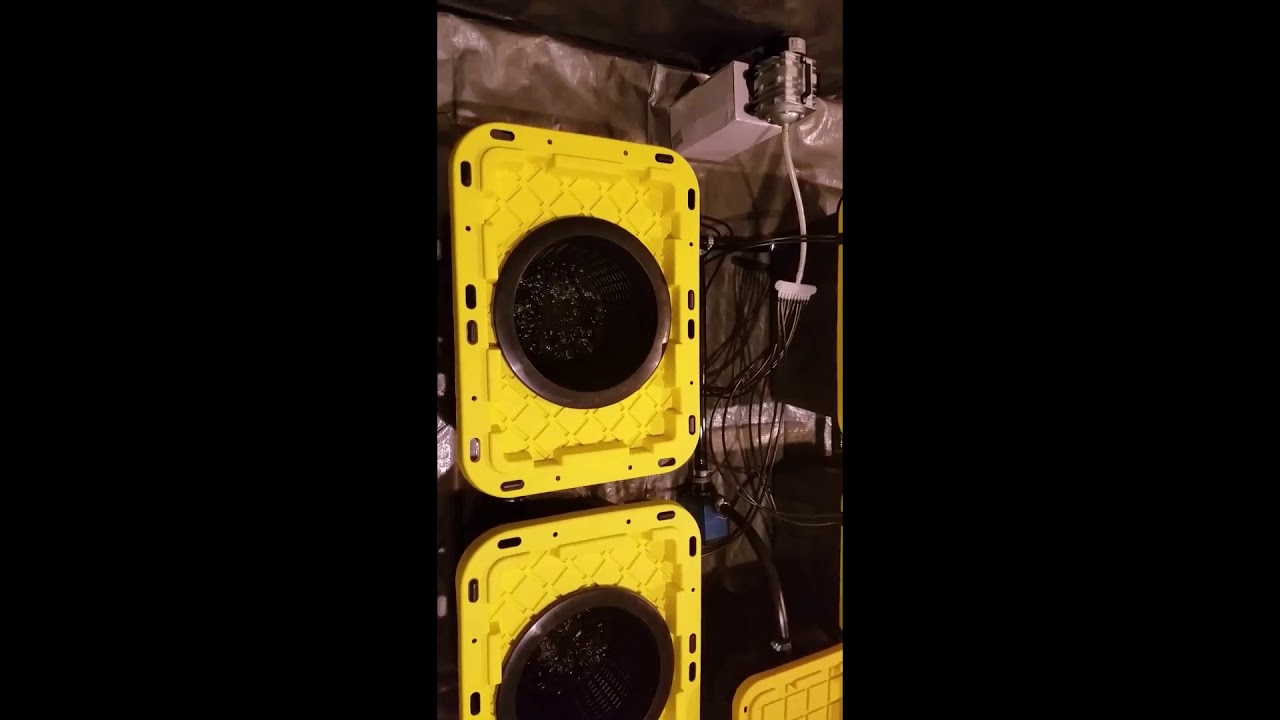 Root Box Hydroponics Grow 4 System Current Recirculating Deep Water Culture RDWC