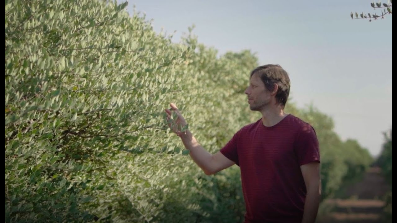 Weleda: Ethical Sourcing Partnership [a film by Cosmetics Europe & BBC StoryWorks]