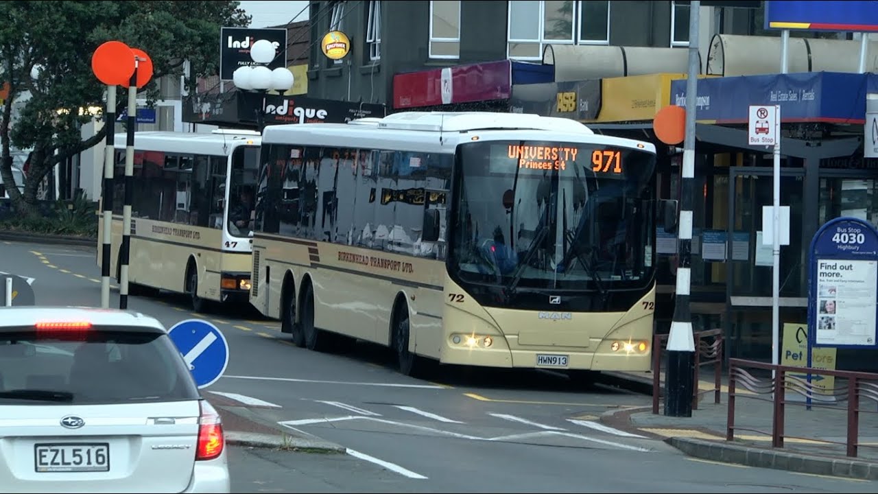 Auckland Transport Bus Colours Petition part 2