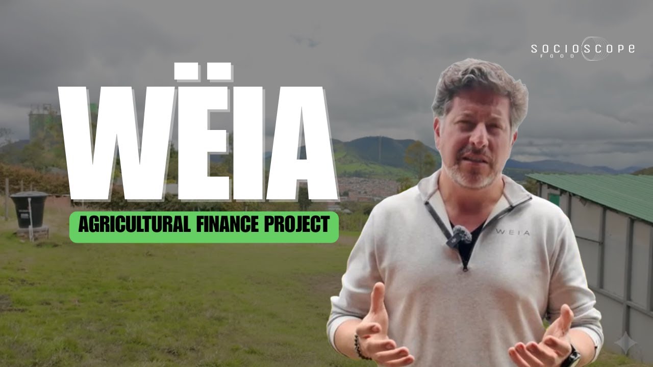 Farm Now, Pay Later: The Fintech Model Helping Small Farmers Get Financing - WËIA (Bogotá Colombia)