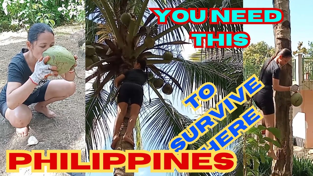 Living Life To The Fullest Summer Bloom In The Rose Garden/ Hard Work Is The Key/ #philippines