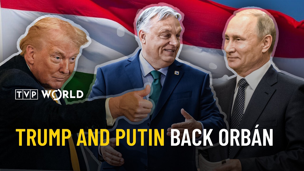 Is Zelenskyy helping Orban’s desperate bid to stay in power? | News In Depth
