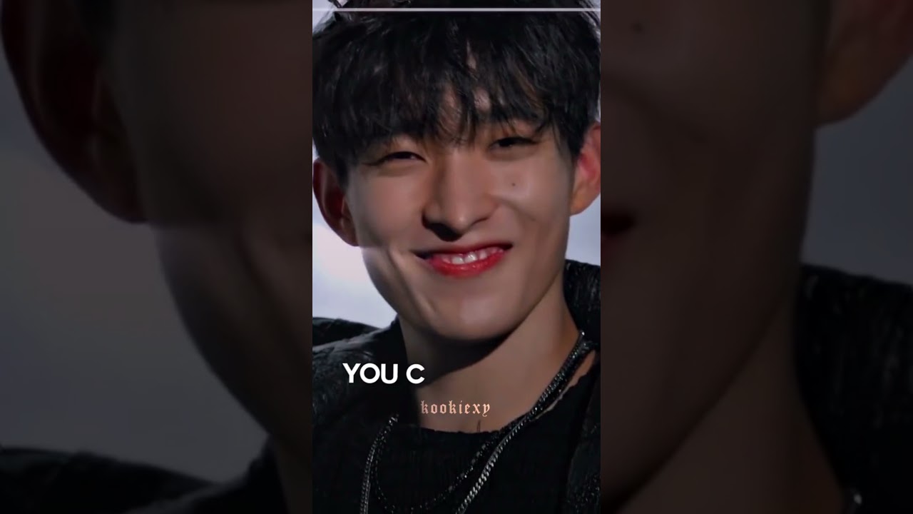 Seventeen Tik tok edits |part 1|