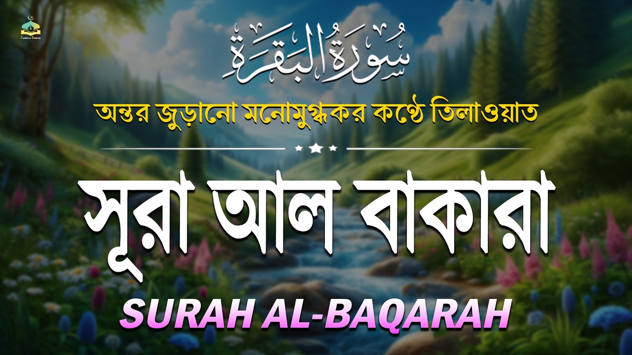 সূরা বাকারা অত্যন্ত মায়াবী কন্ঠে তিলাওয়াত । Most Beautiful Recitation Surah Baqarah | Surela Quran