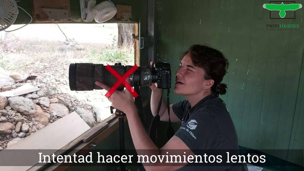 Recomendaciones para el uso de hides fotográficos - Photo Logistics