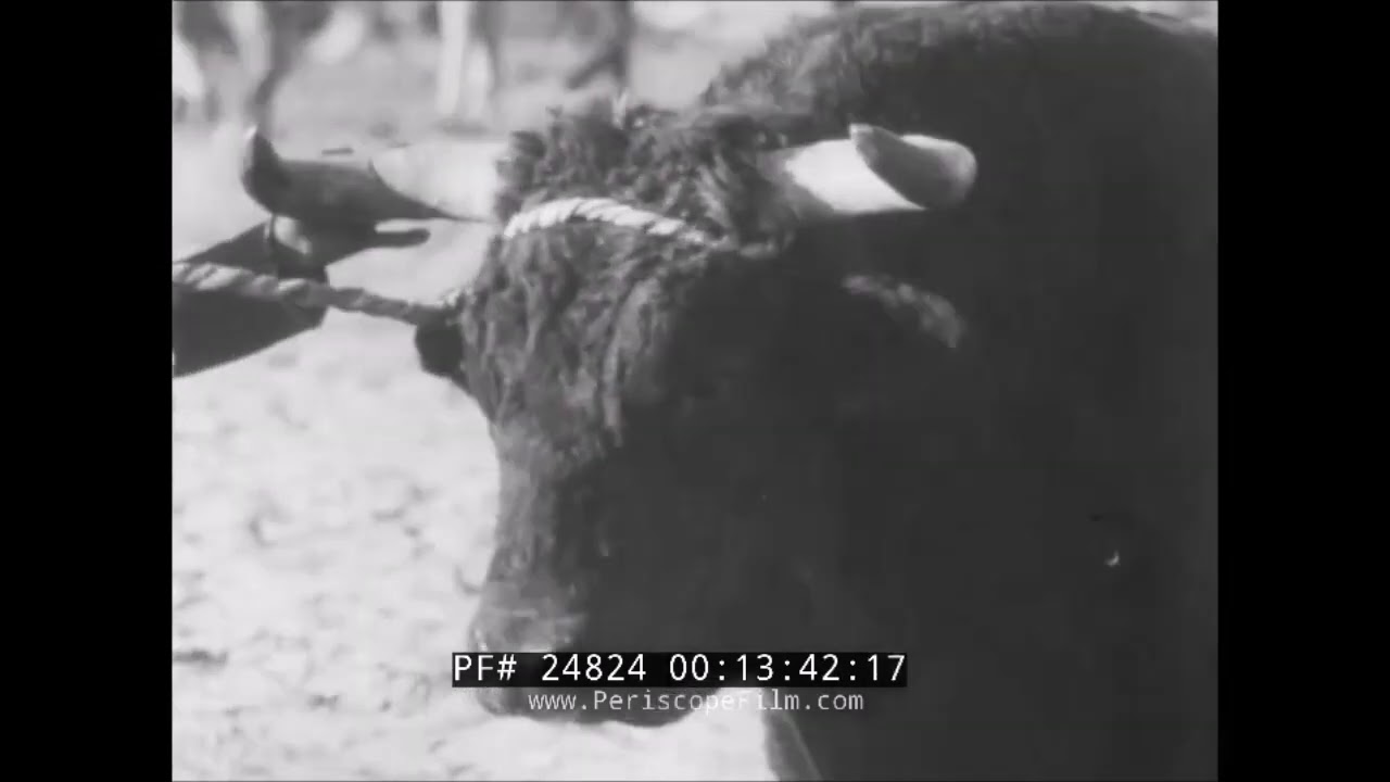 AREQUIPA ANTIGUA. Arequipa en blanco y negro. Arequipa entre 1930 y 1940.