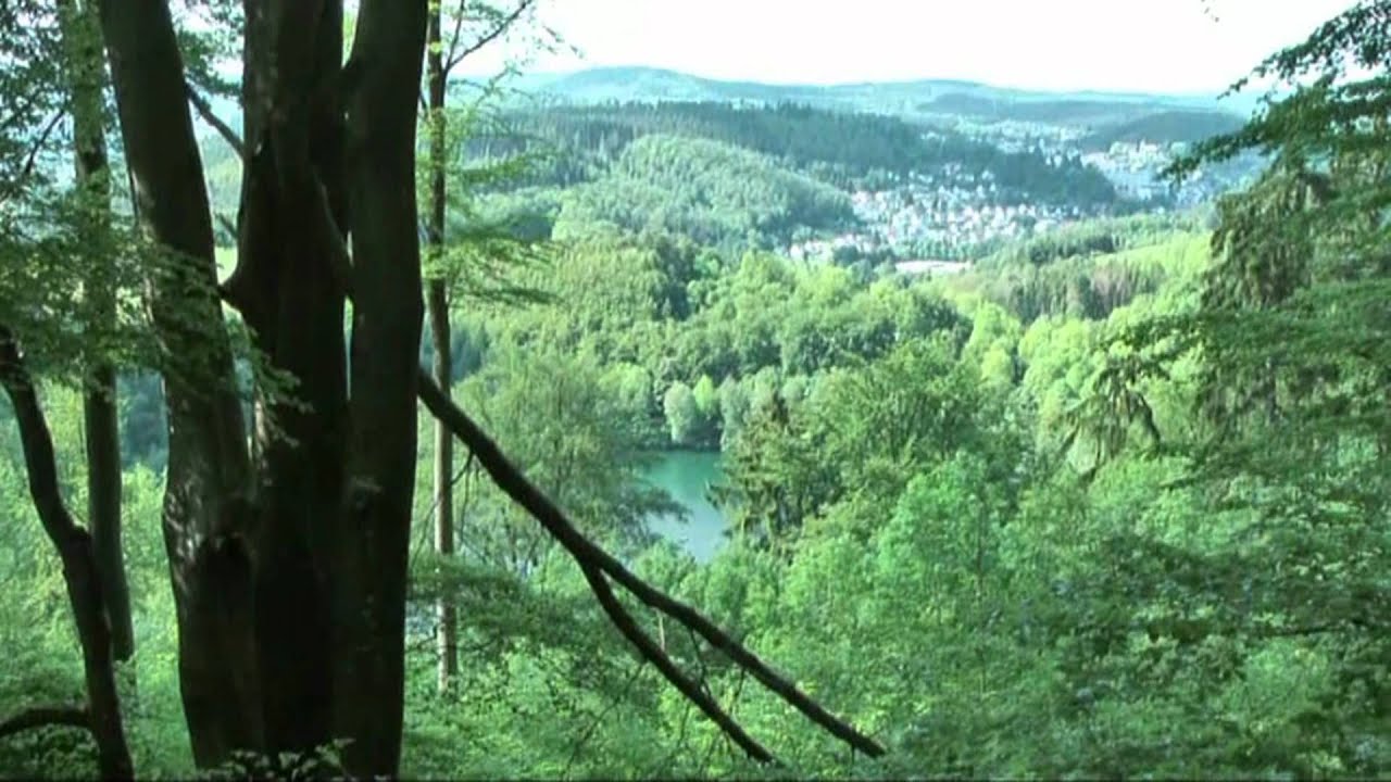 Wandeling rond Daun (Vulkaaneifel)