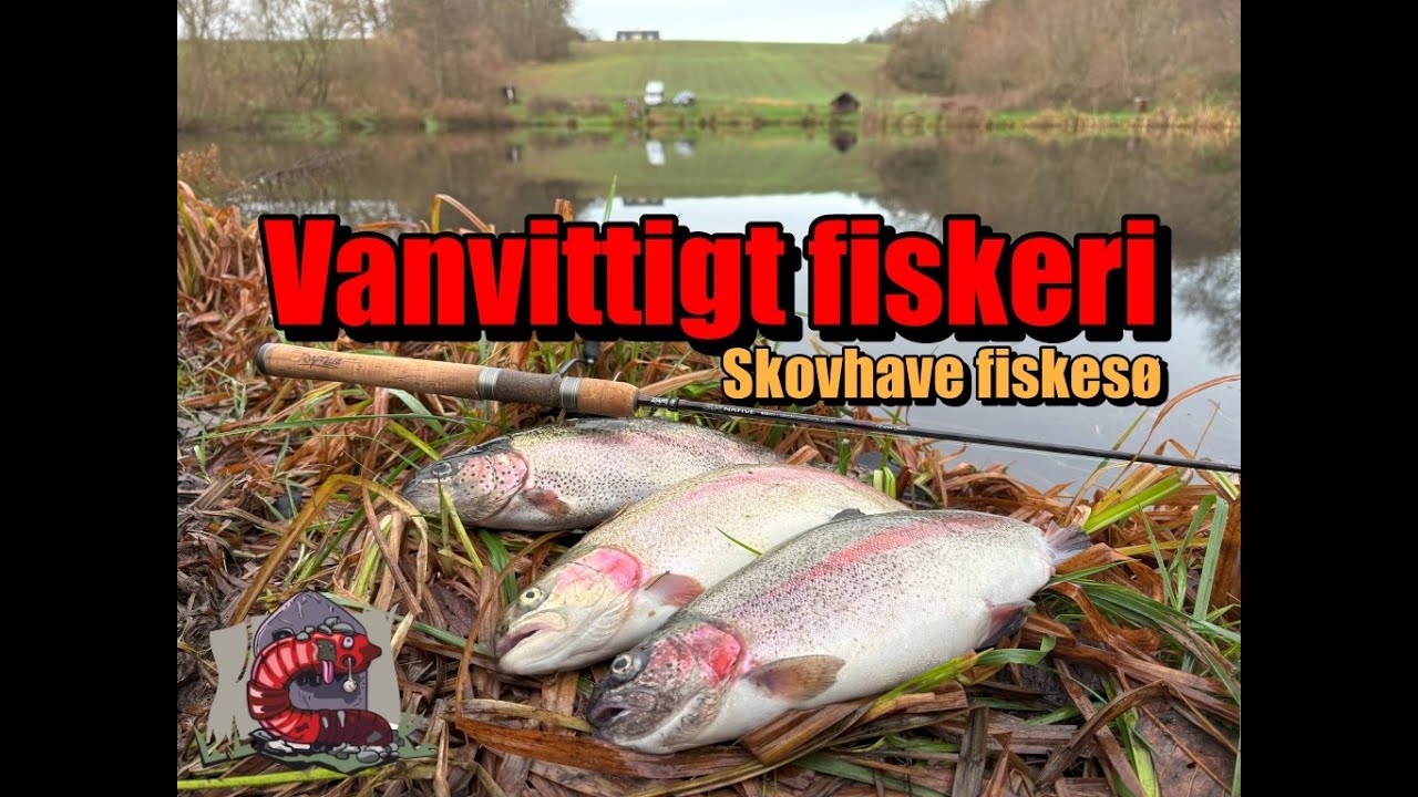 Vanvittigt fiskeri i Skovhave fiskesø