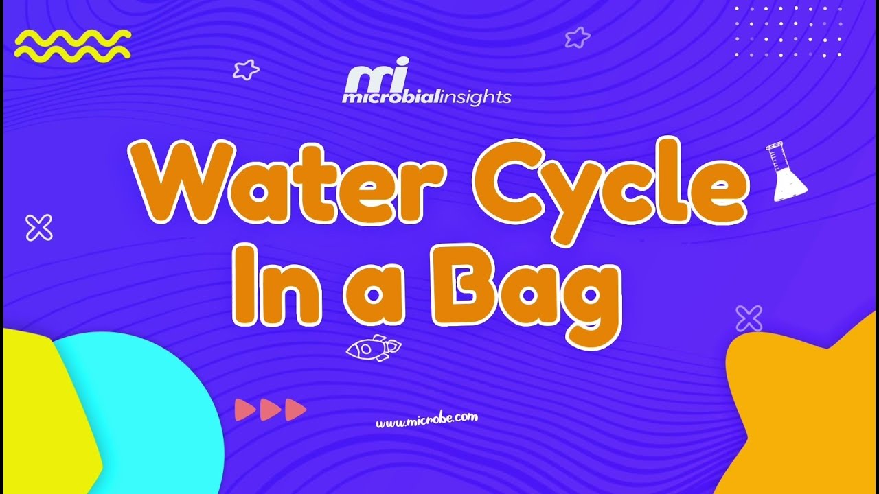 The Water Cycle