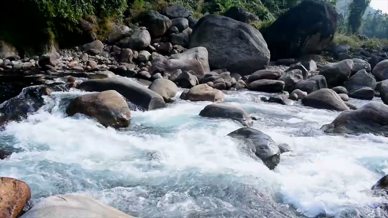 Jhalong Jaldhaka River ASMR Raw 4K Video | জলঢাকা নদী, ঝালং, ডুয়ার্স | West Bengal Tourism