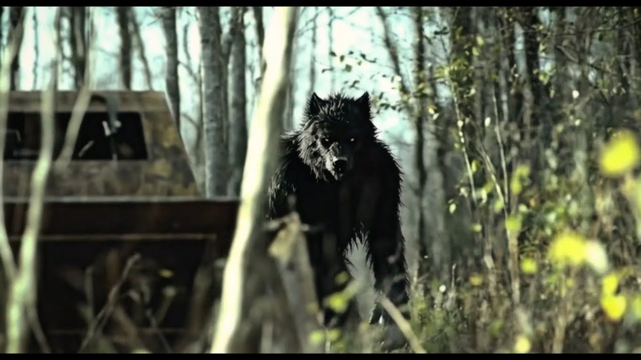 Real DOGMAN Footage!! This is POWERFUL Evidence For America&rsquo;s Scariest Cryptid!!
